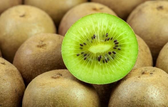 猕猴桃最新爆料视频下载,最新爆料视频带你探秘果实奥秘  第2张