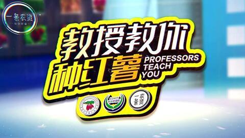 地瓜爆料视频大全最新,揭秘娱乐圈幕后真相 第2张 地瓜爆料视频大全最新,揭秘娱乐圈幕后真相 第2张