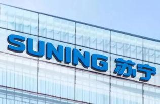 苏宁家乐福最新爆料信息,揭秘全新战略布局与未来市场动向  第3张